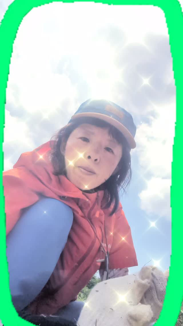 暑すぎて活動があまりできない今日この頃⋯