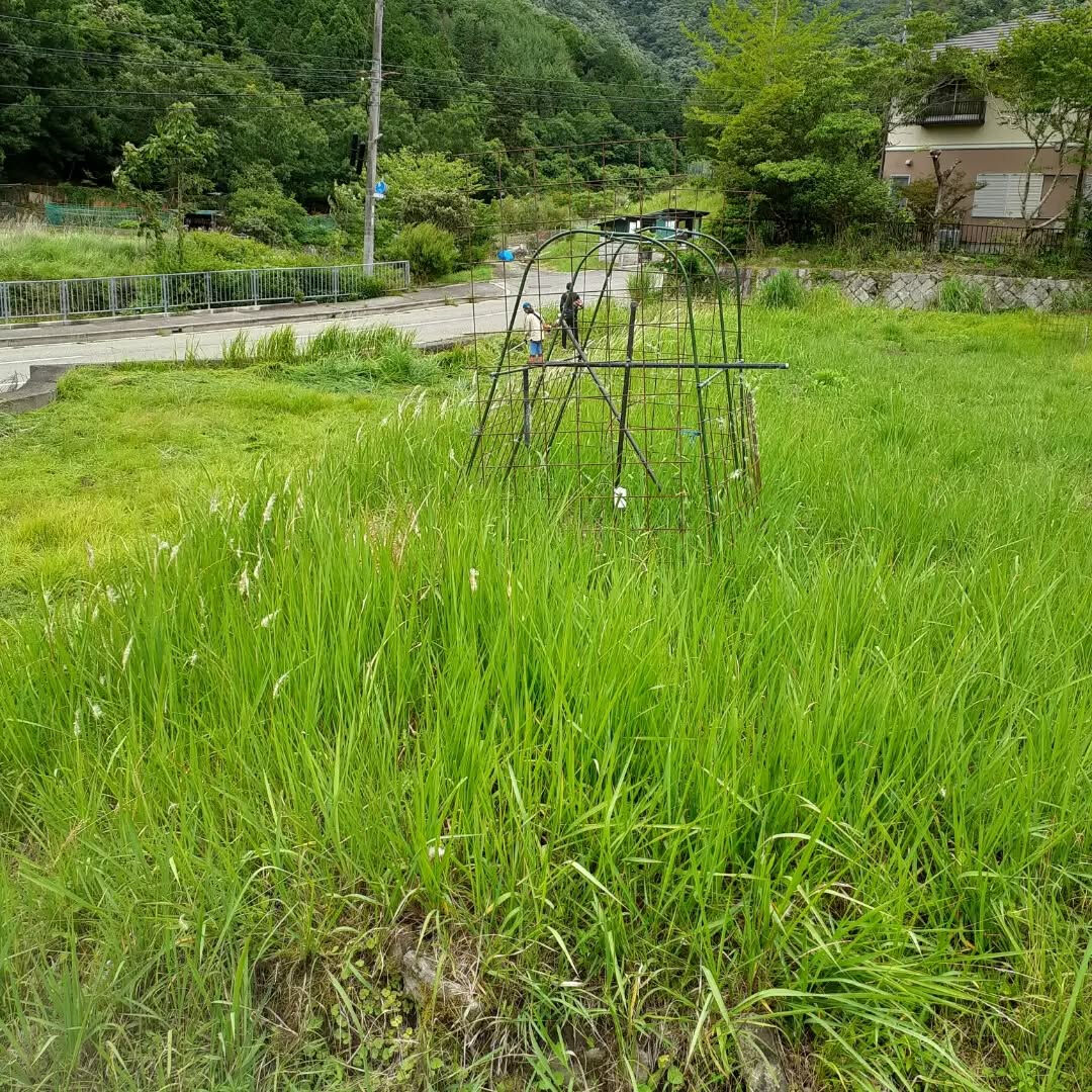 6月21日(日)　活動報告