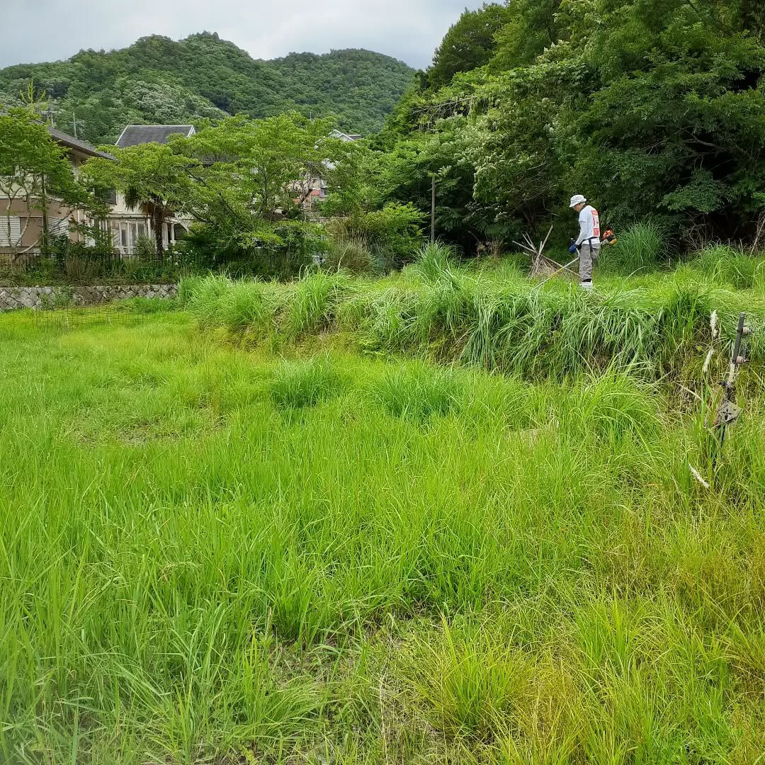 6月21日(日)　活動報告