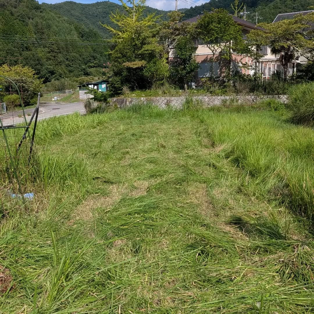8月30日(日)　活動報告