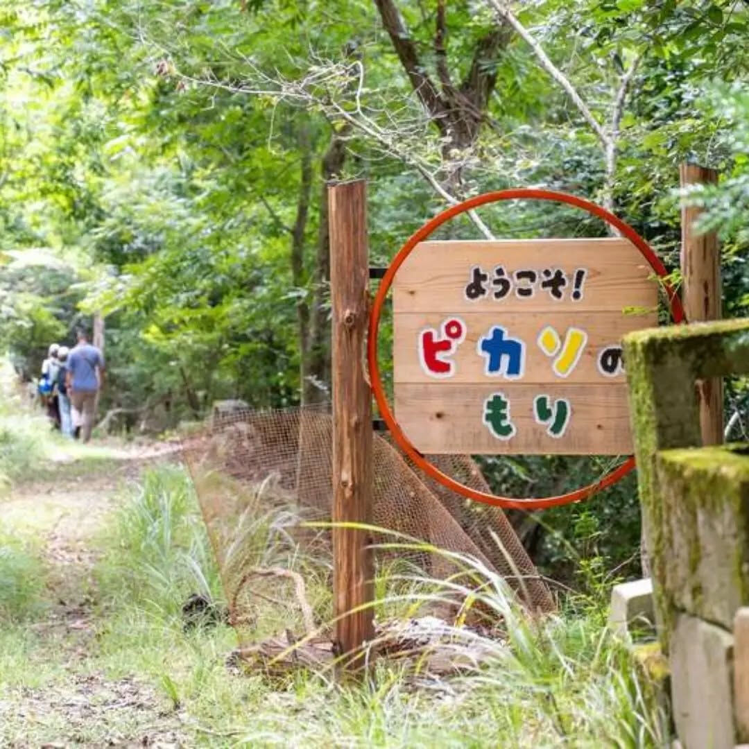 9月13日(日)　活動報告