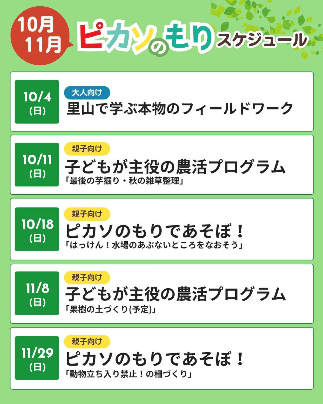 こんにちは！ピカソのもりです☺️