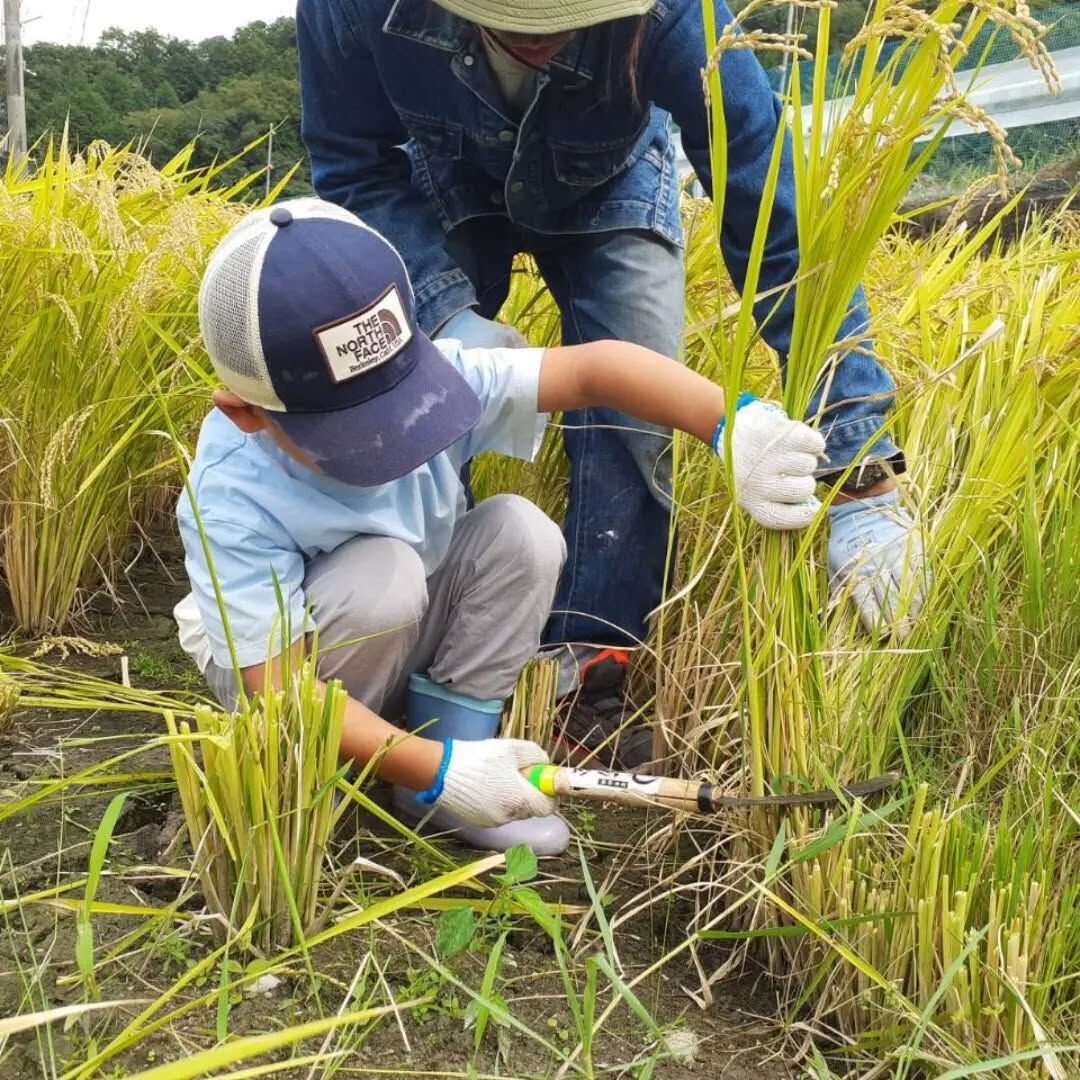 8月20日(日)　活動報告