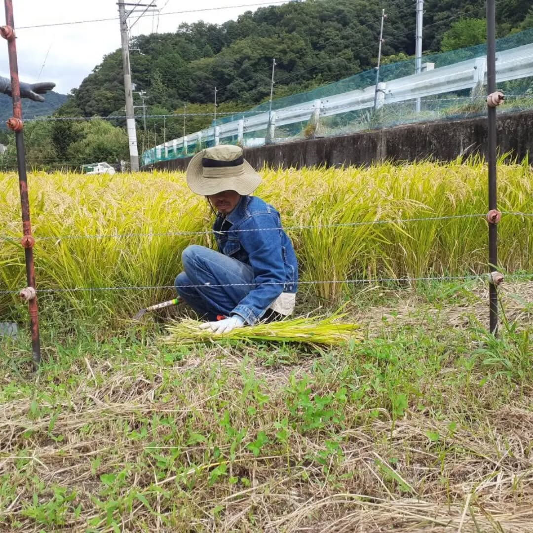8月20日(日)　活動報告