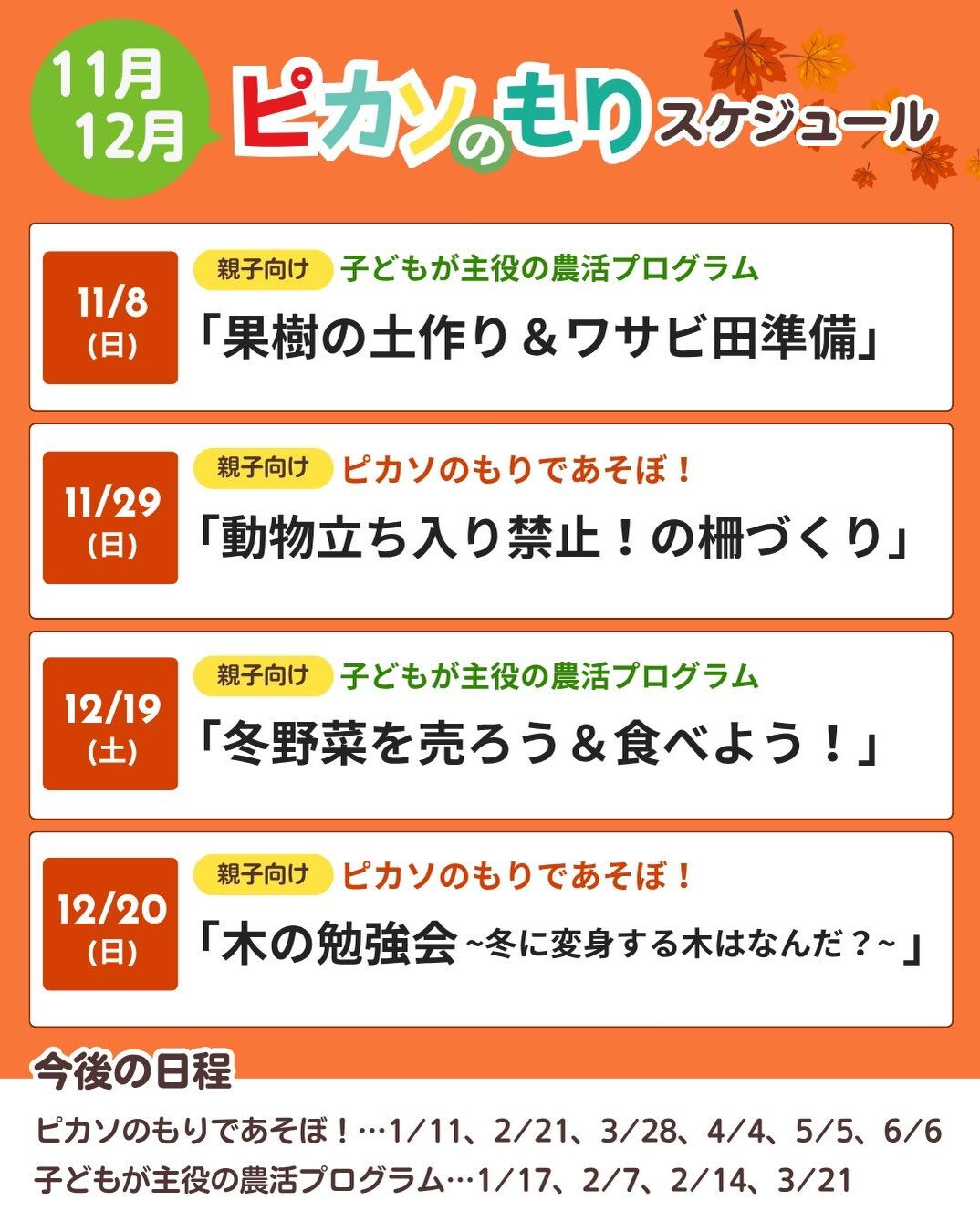 こんにちは！ピカソのもりです☺️